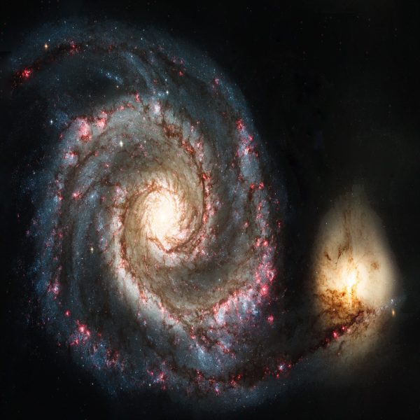 Space Snail